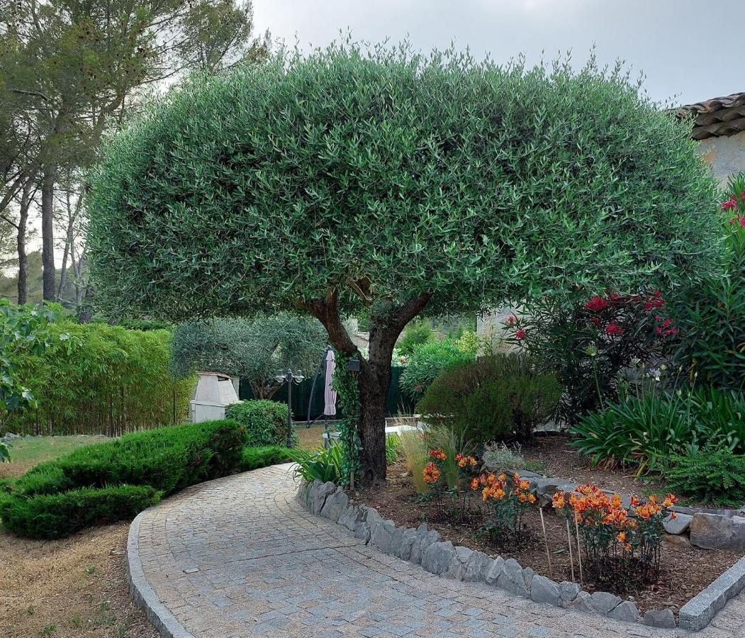 Gite Les Pins Peymeinade Extérieur photo